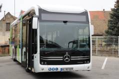 Mini IMG 4933